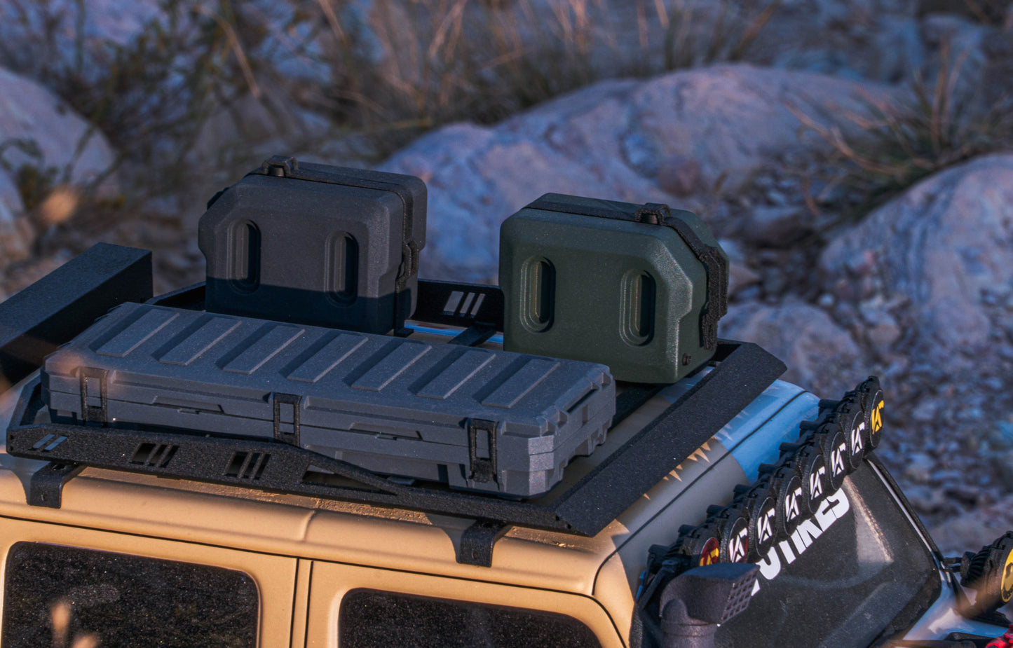 1/10 Heavy-Duty Storage Case